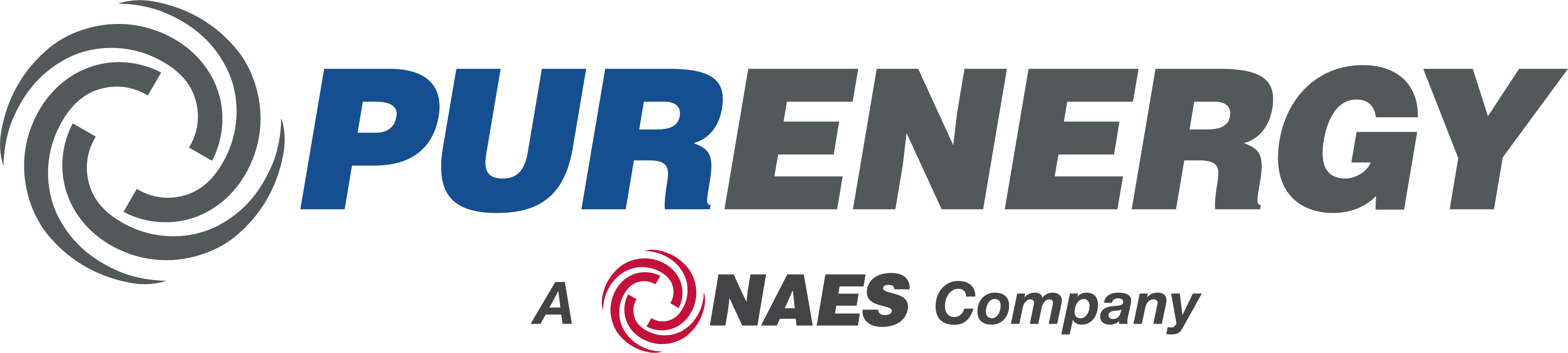 PurEnergy NAES Logo
